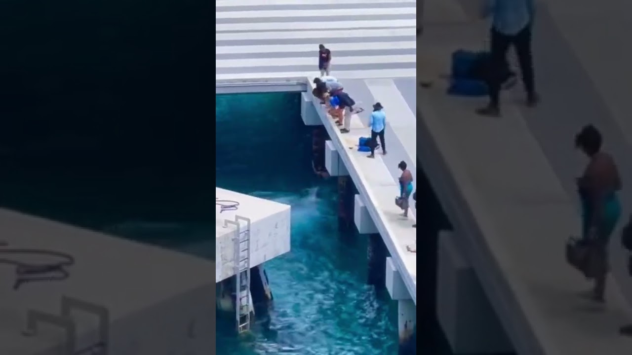 Man Falls off Cruise Ship!